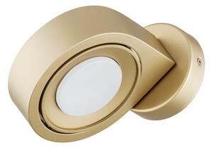 Argon 8899 - Настенно осветително тяло LOTUS 1xGX53/12W/230V златисто