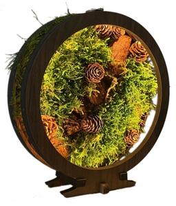 Li-Go 23654 - Димируема LED настолна декорация LED/12W/230V 20x22 cm, с мъх