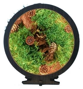 Li-Go 23654 - Димируема LED настолна декорация LED/12W/230V 20x22 cm, с мъх
