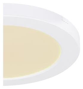 Globo 12379-18W - LED Плафониера LASSE LED/18W/230V