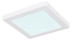 Globo 12380-12W - LED Плафон LASSE LED/12W/230V 3000/4000/6500K бял