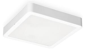 LED Плафон SIGARO SQUARE LED/18W/230V 4000K IP40