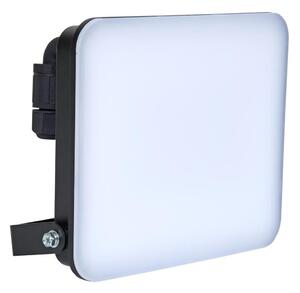 Brilagi - LED прожектор ELARA PRO LED/50W/230V IP65