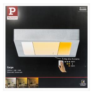 Paulmann 79794 - LED/13W Плафон CARPO 230V 2300/2500/3000K