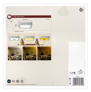 Paulmann 79794 - LED/13W Плафон CARPO 230V 2300/2500/3000K