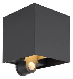 Globo 34168S - LED външна стенна лампа със сензор VERONIKA 2xLED/3W/230V IP54
