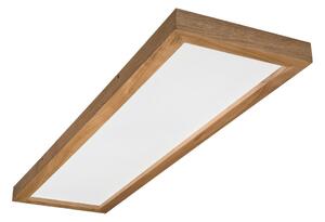 Brilagi-LED Димируема лампа WOODY FRAME LED/50W/230V дъб 120x30 см IP44 + д.у