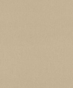 Влизолинов тапет за стена rasch deco style 312416