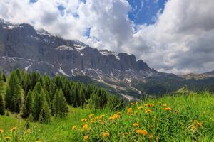 Флизелинов фототапет летен ден в планината 375 x 250 см