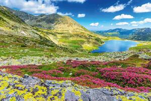Флизелинов фототапет зашеметяваща природа 375 x 250 см
