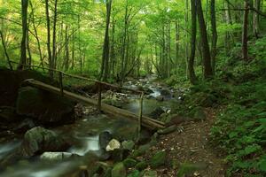 Флизелинов фототапет горски поток 375 x 250 см