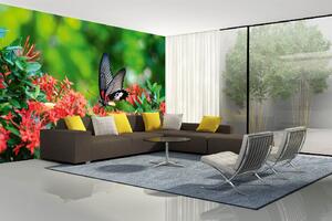 Самозалепваща се флизелинова фототапета пеперуда върху цвете 375 x 250 см