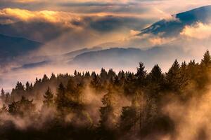 Флизелинов фототапет пейзаж от мъгла 375 x 250 см