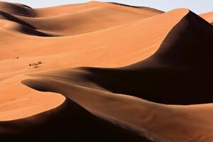 Флизелинов фототапет осветени пясъчни дюни 375 x 250 см