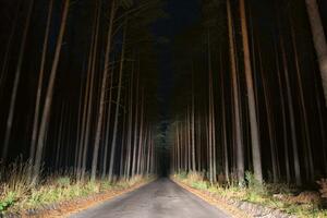 Флизелинов фототапет нощен изглед към пътя 375 x 250 см