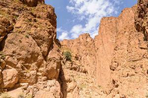 Флизелинов фототапет каньон 375 x 250 см