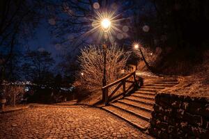 Флизелинов фототапет парк петрин 375 x 250 см