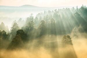 Флизелинов фототапет слънчеви лъчи 375 x 250 см