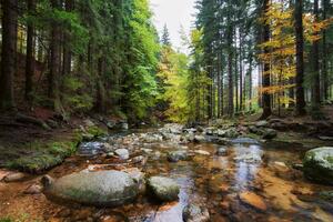 Флизелинов фототапет горски поток 375 x 250 см