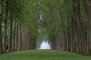 Флизелинов фототапет версайски парк 375 x 250 см