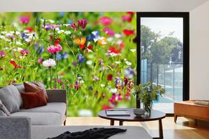 Самозалепваща се флизелинова фототапета малки цветя 375 x 250 см