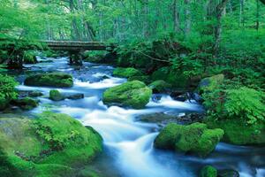 Флизелинов фототапет горски поток 375 x 250 см