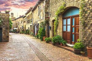 Флизелинов фототапет улица, пълна с цветя 375 x 250 см