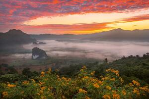 Флизелинов фототапет сутрешна мъгла в долината 375 x 250 см