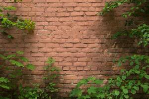 Флизелинов фототапет обрасла тухлена стена 375 x 250 см