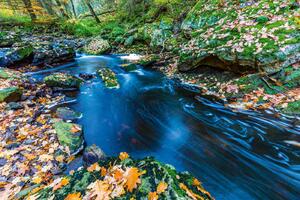 Флизелинов фототапет есенни порои 375 x 250 см