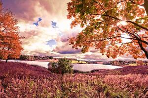 Флизелинов фототапет есенна кленова гора 375 x 250 см