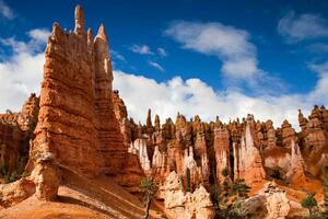 Флизелинов фототапет национален парк 375 x 250 см