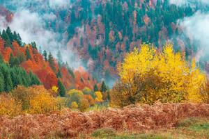 Флизелинов фототапет красив горски пейзаж 375 x 250 см