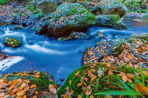 Флизелинов фототапет белгийски ардени 375 x 250 см