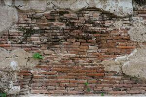 Флизелинов фототапет напукана циментова мазилка 375 x 250 см