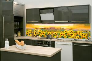 Фототапет за кухня - картина на слънчогледи 260 x 60 см