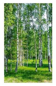 Флизелинов фототапет брезова горичка 150 x 250 см