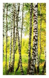 Флизелинов фототапет брезова гора 150 x 250 см