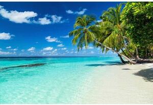 Флизелинов фототапет тропически рай 375 x 250 см