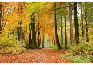 Флизелинов фототапет есенна гора 375 x 250 см