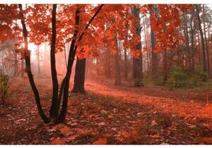 Флизелинов фототапет гора в мъглата 375 x 250 см
