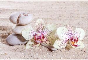Флизелинов фототапет дзен 375 x 250 см