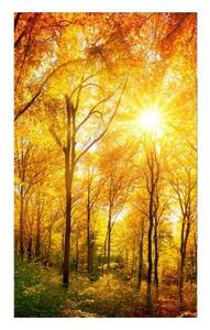 Флизелинов фототапет слънчева гора 150 x 250 см