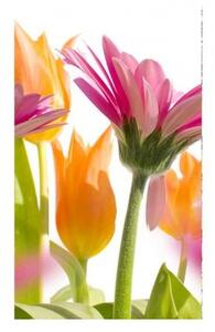Флизелинов фототапет пролет цветя 150 x 250 см