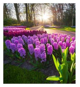 Флизелинов фототапет зюмбюли 225 x 250 см