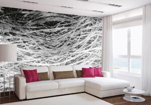Флизелинов фототапет абстрактно сено ii. 375 x 250 см