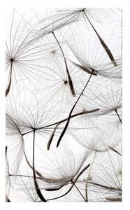 Флизелинов фототапет пух от глухарче 150 x 250 см