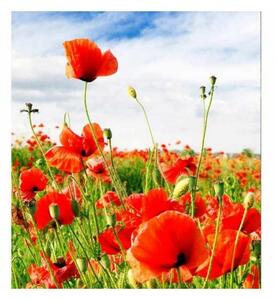 Флизелинов фототапет червен мак 225 x 250 см