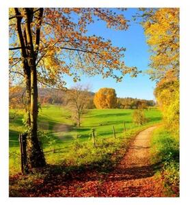Флизелинов фототапет ливада 225 x 250 см