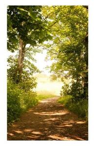 Флизелинов фототапет горска пътека 150 x 250 см